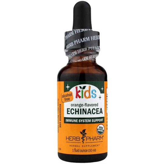 Kids Echinacea Orange Flavor, HPH